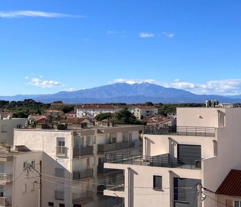 Studio Cote Plage Tout Equipe Vue Sur Le Canigou カネ エクステリア 写真
